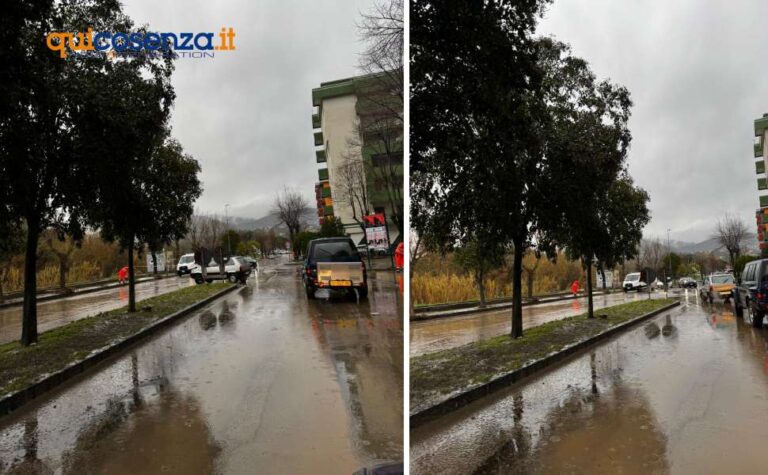 fonte qui cosenza.it